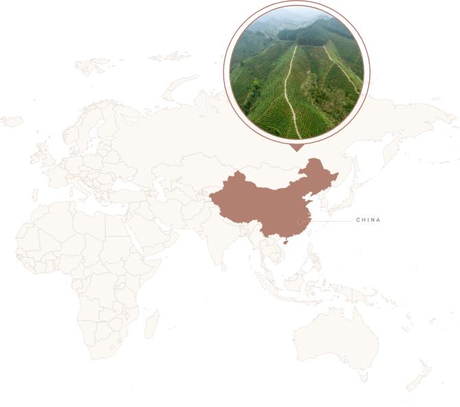 Accent Image for