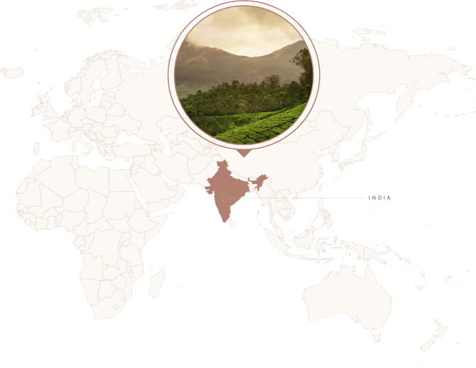 Accent Image for