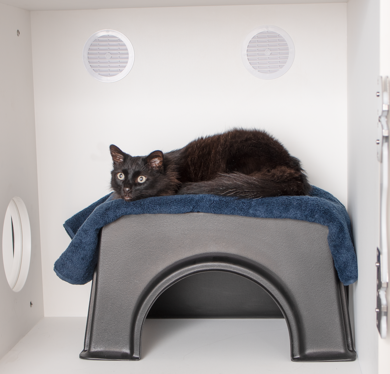 Feline Comfort Suite Ventilation Passive Shor Line