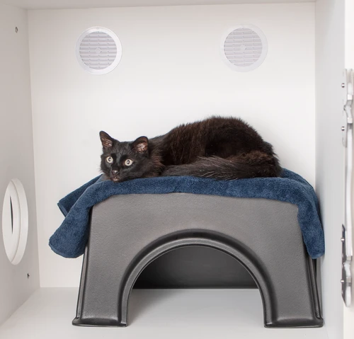 Two Passive Vents in back of main Feline Comfort Suite unit