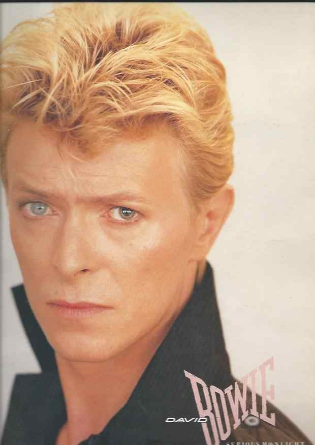 The David Bowie Serious Moonlight Tour