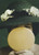 Grey Gardens (Musical) Christine Ebersole, Matt Cavenaugh, Erin Davie, Kelsey Fowler, Sarah Hyland, Michael Potts, John McMartin – Walter Kerr Theatre, Run - Nov 02, 2006 - Jul 29, 2007 Souvenir Brochure Broadway 2006 Production