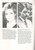 Seven Brides for Seven Brothers (Musical), Roni Page, Steve Devereaux, Muriel Barker, Tom Barritt, London Production 1984