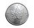 1oz Silver Maple Leaf Coin - Tube of 25