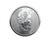 1oz Silver Maple Leaf Coin (2020) - Tube of 25