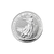 1oz Britannia Silver Coin - (Buy via Klarna)