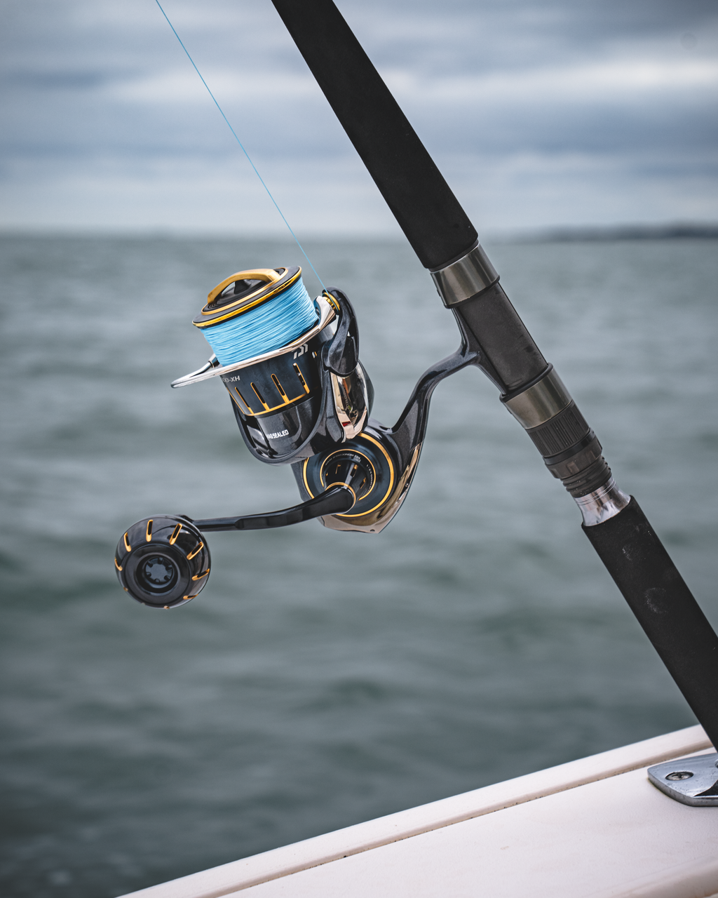 Fishing - 3 Reels - Daiwa spincasting Reel