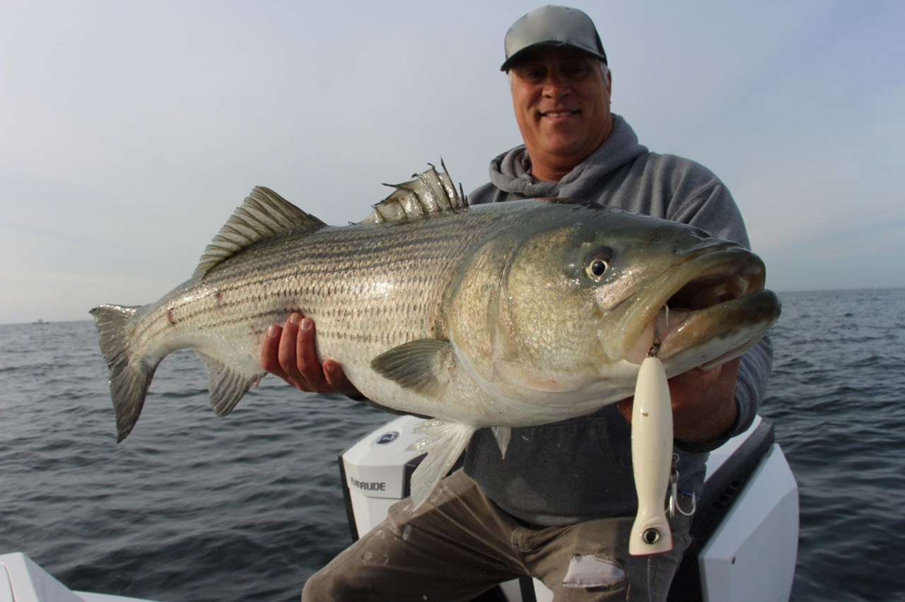 Cool Striped Bass Topwater Lures - Yozuri 3DB Pencil - Large Mouth Bass Striped  Bass