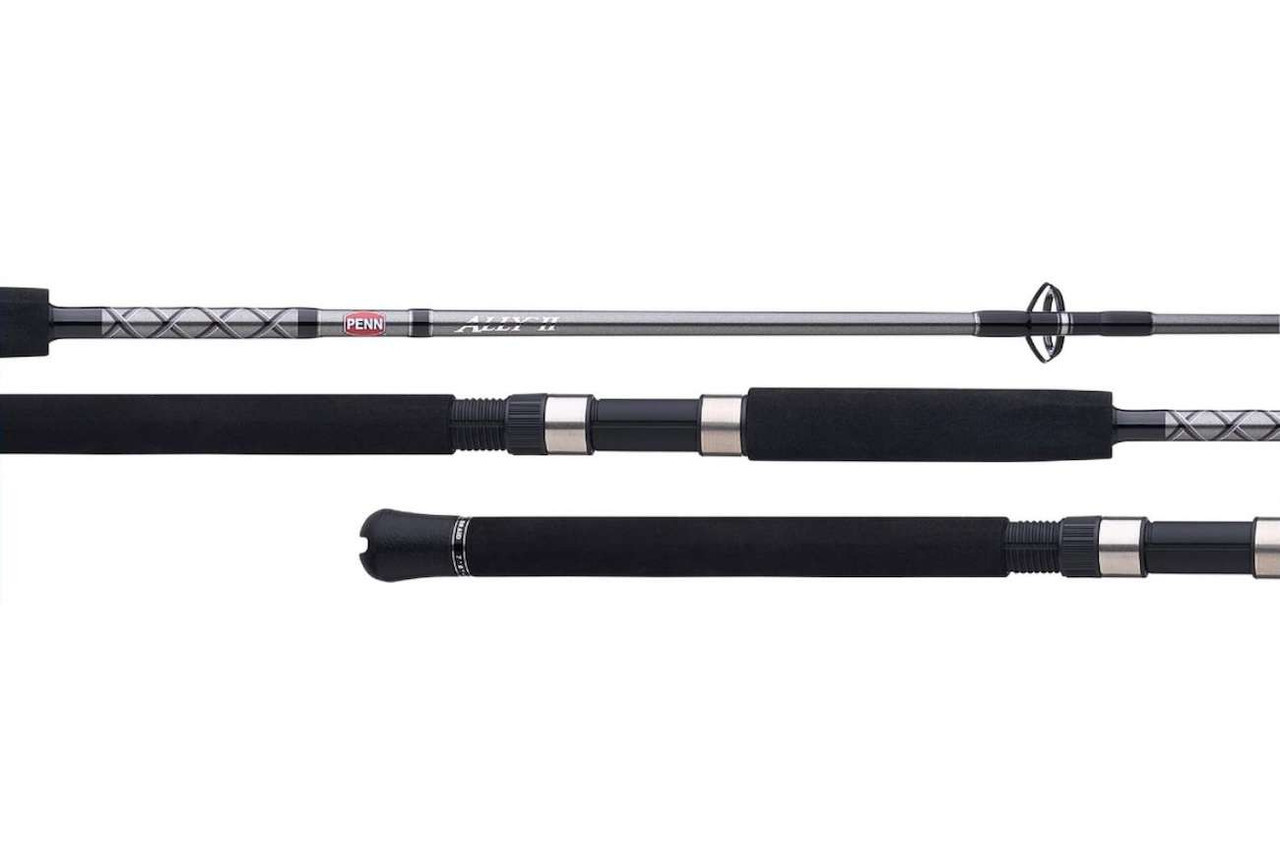Penn Ally II Boat Conventional Rod