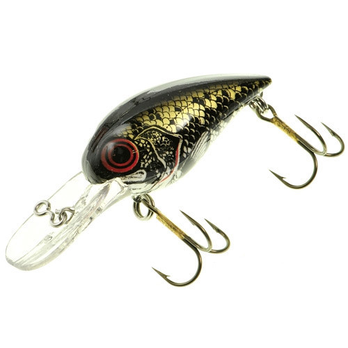 Brad's Wee Wigglers