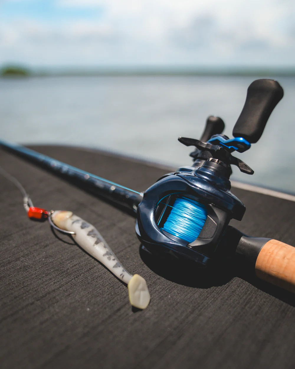 Daiwa Coastal SV TW 150 Casting Reels