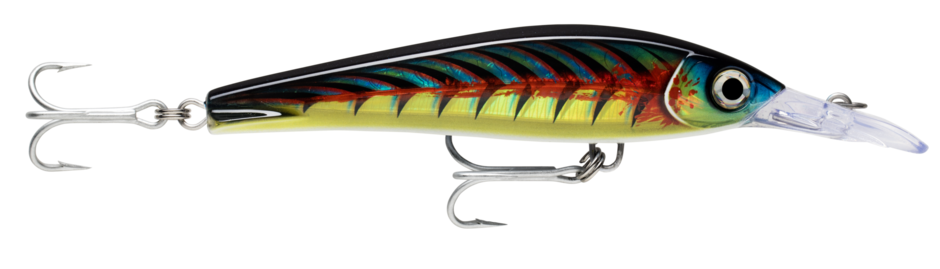 Rapala X-Rap Mag Xtreme 160 HD Lures