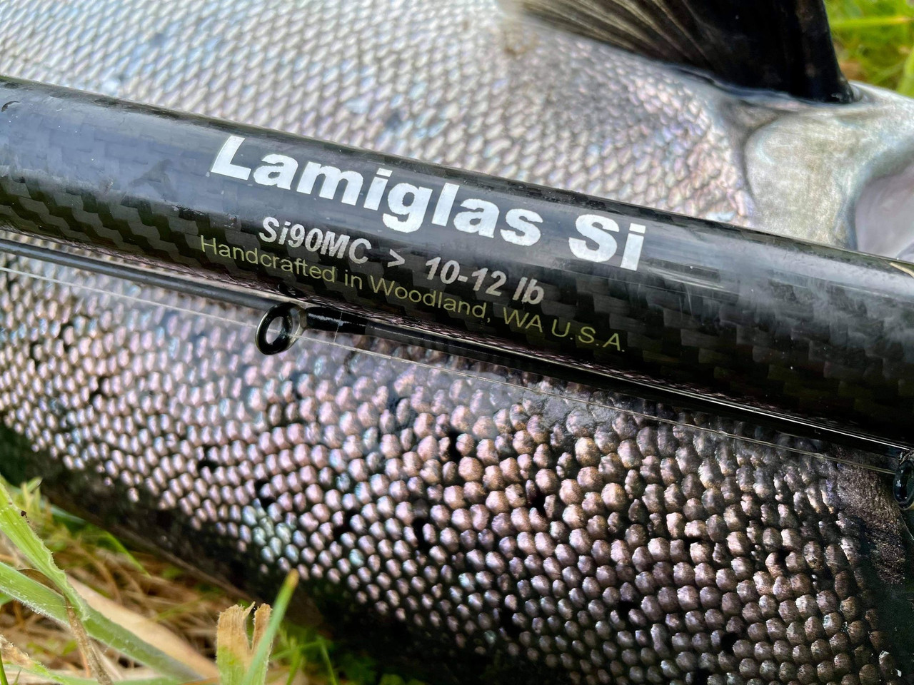 Lamiglas SI Series Rods