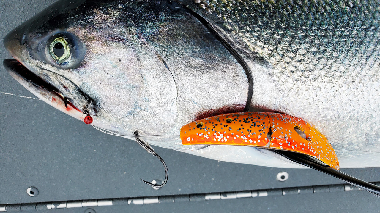 Salmon Trolling Lures Salmon Trolling Lures