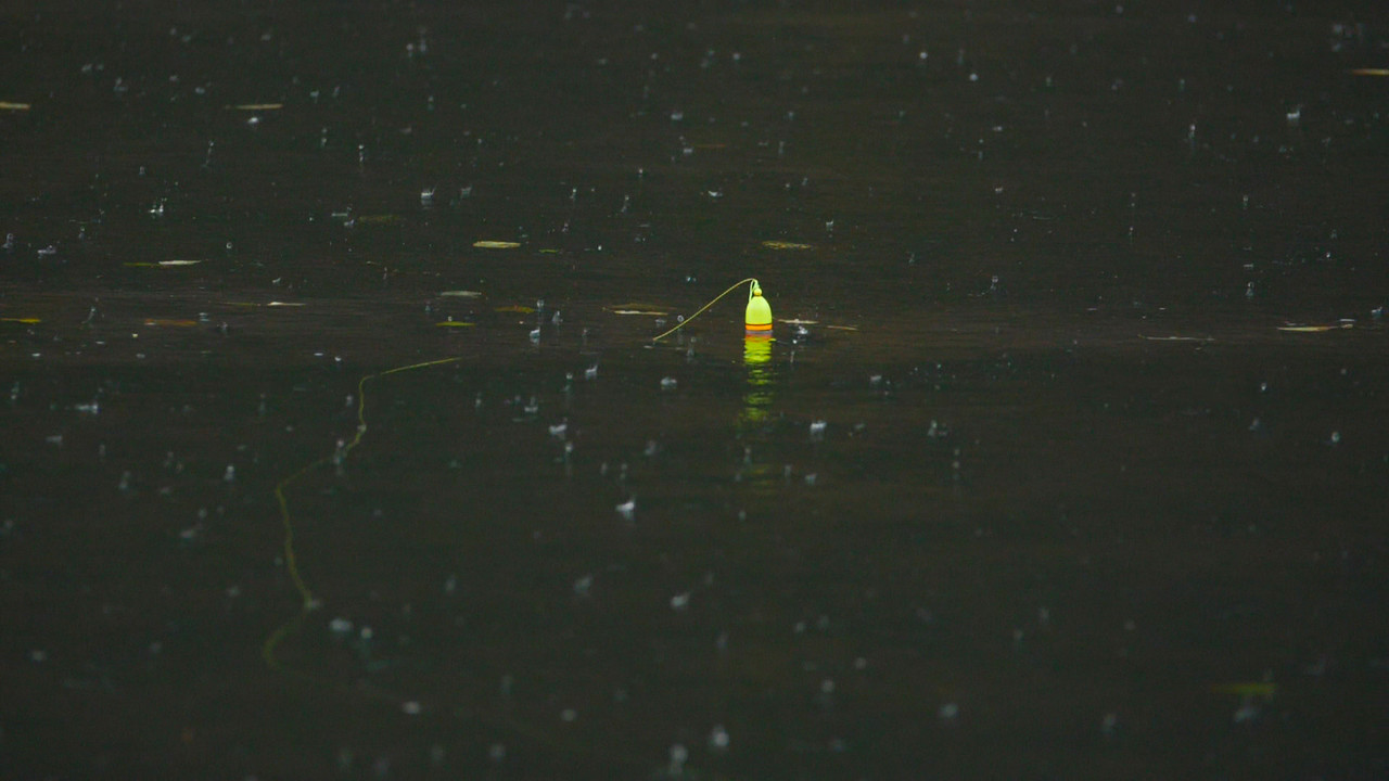 Steelhead Float/Bobber Fishing Steelhead Float/Bobber Fishing