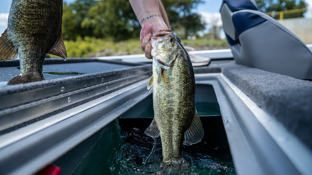 Early Spring Bass Fishing with a Drop Shot Rig Early Spring Bass Fishing with a Drop Shot Rig