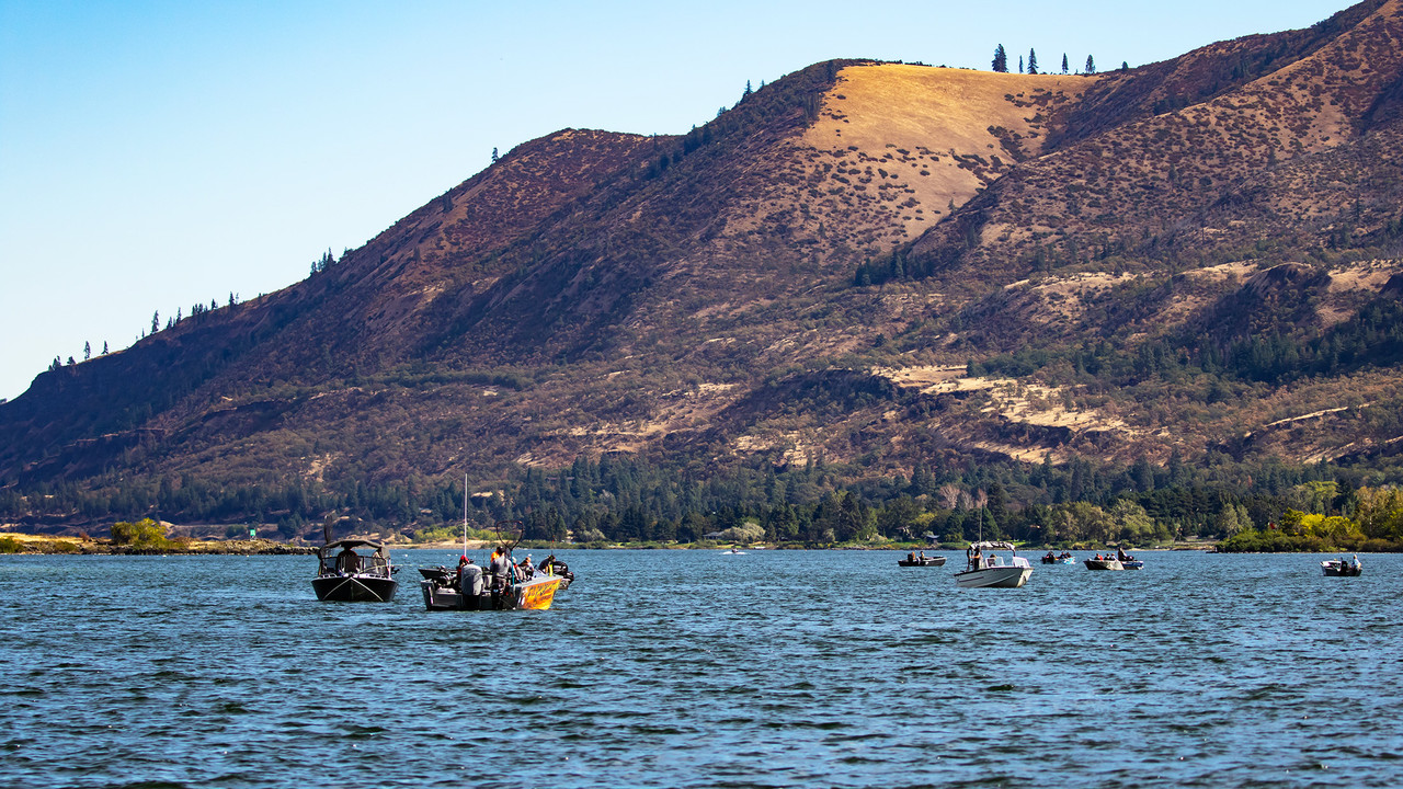 Salmon Hover Fishing on the Columbia River Salmon Hover Fishing on the Columbia River
