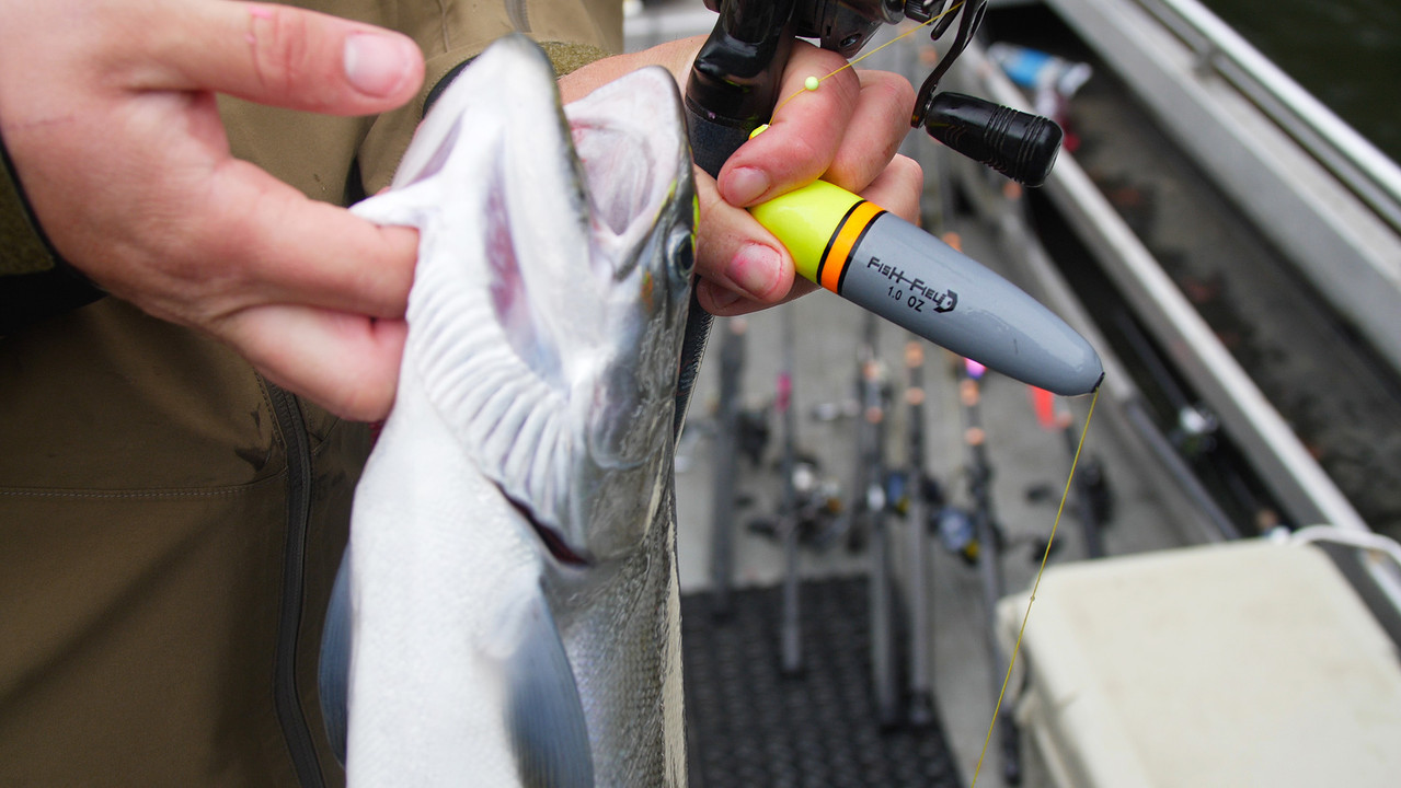 Salmon Bobber / Float Fishing Salmon Bobber / Float Fishing