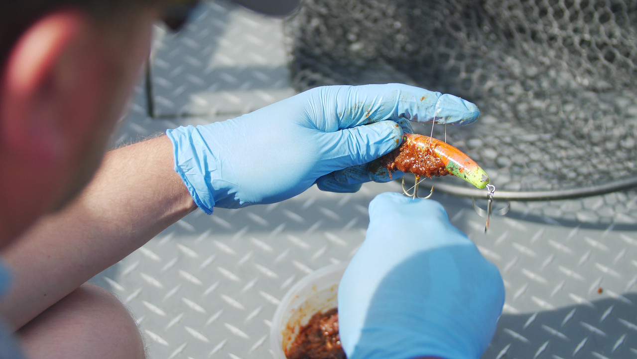 Salmon Plug Fishing Salmon Plug Fishing