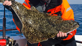 The Ultimate Guide to Halibut Fishing: Tips, Techniques, and Best Practices