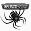 SpiderWire
