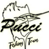 Pucci Pucci