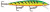 Rapala Husky Jerkbait/Trolling Minnow Rapala Husky Jerkbait/Trolling Minnow