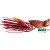 LiveTarget Hollow Body Crawfish Jig LiveTarget Hollow Body Crawfish Jig