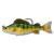 LiveTarget Yellow Perch Swimbait LiveTarget Yellow Perch Swimbait
