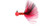 Beau Mac SMJ Bead Jigs Pro Beau Mac SMJ Bead Jigs Pro