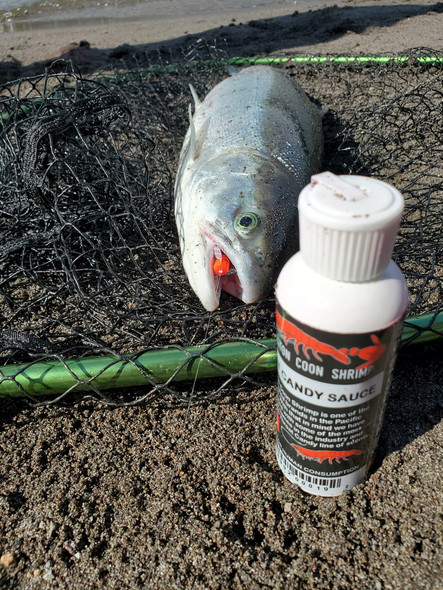 Fishing - Bait Supplies - Scents - Page 1 - Fish-Field