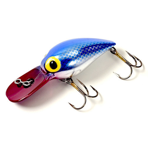 Brad's Lil Wigglers