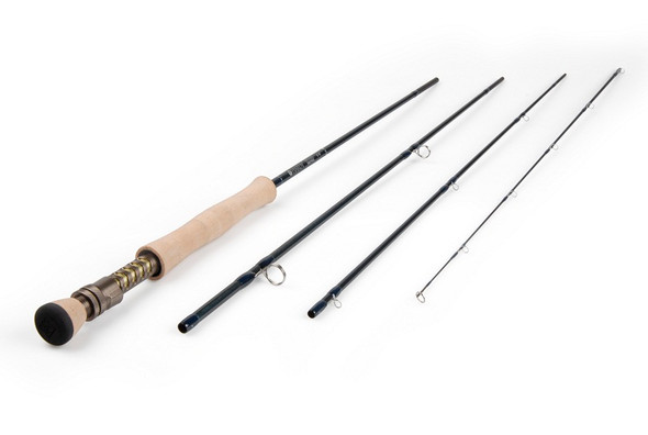Fishing - Fly Fishing - Fish-Field