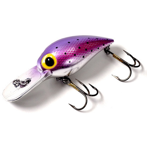 Brad's Wee Wigglers