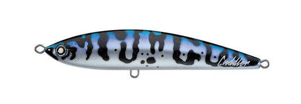 Daiwa Saltiga Cuddler 185F Floating Stickbaits