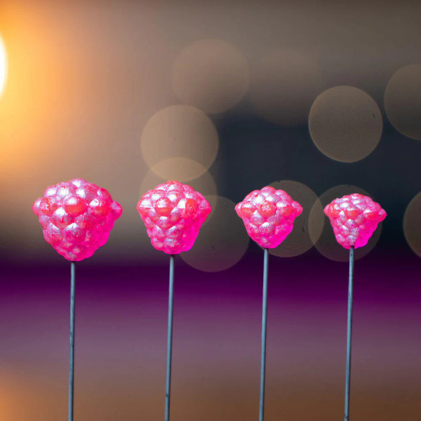 Elevated Tackle OG Egg Clusters