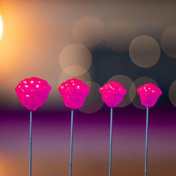 Elevated Tackle OG Egg Clusters