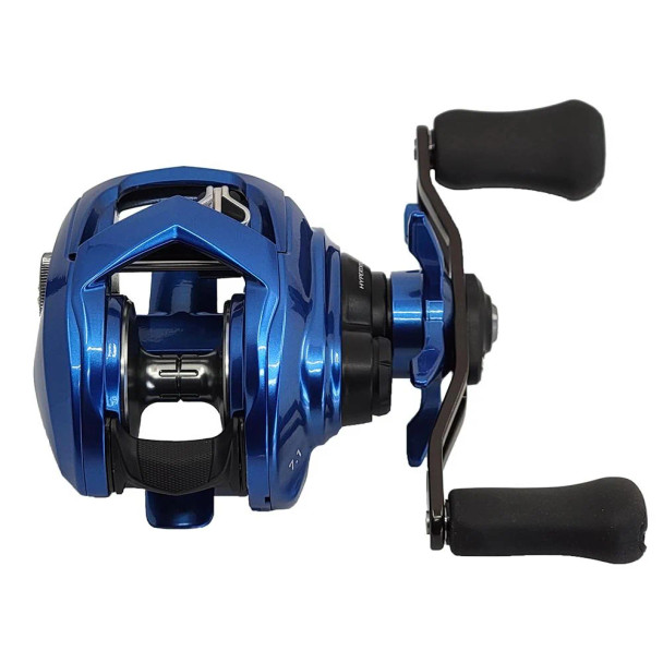 Daiwa Coastal TW 80H Casting Reels