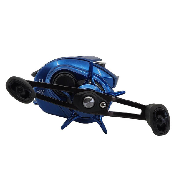 Daiwa Coastal TW 80H Casting Reels