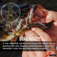 Z-Man Boar HogZ 4” Soft Plastic Creature Bait