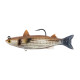 LiveTarget Mullet Swimbait