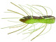 Z-Man Fuzzy BugZ Ned Rig 4pk