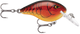 Rapala DT Series Crankbaits