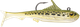 Storm Surge Minnow Swimbait - New For 2026