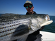 Yo-Zuri Hydro Twitchbait (Sinking) 190mm 7-1/2” - New For 2026