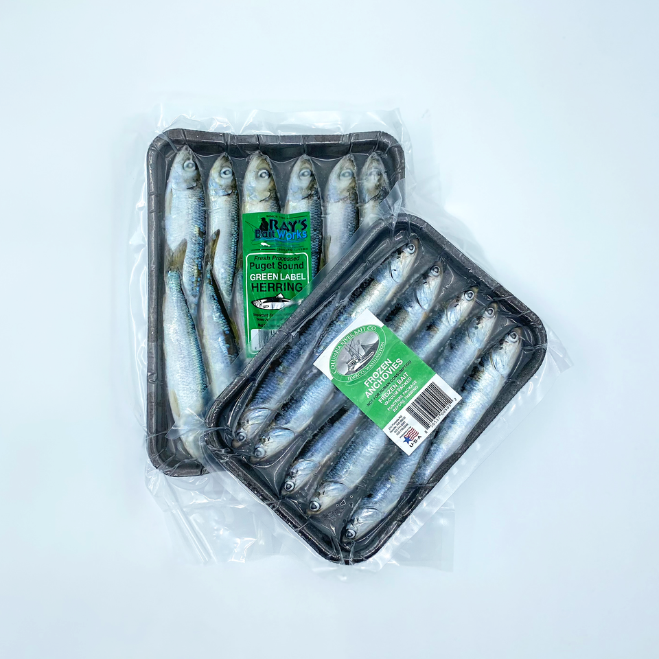 Frozen Bait Supply Individual Pack FishField