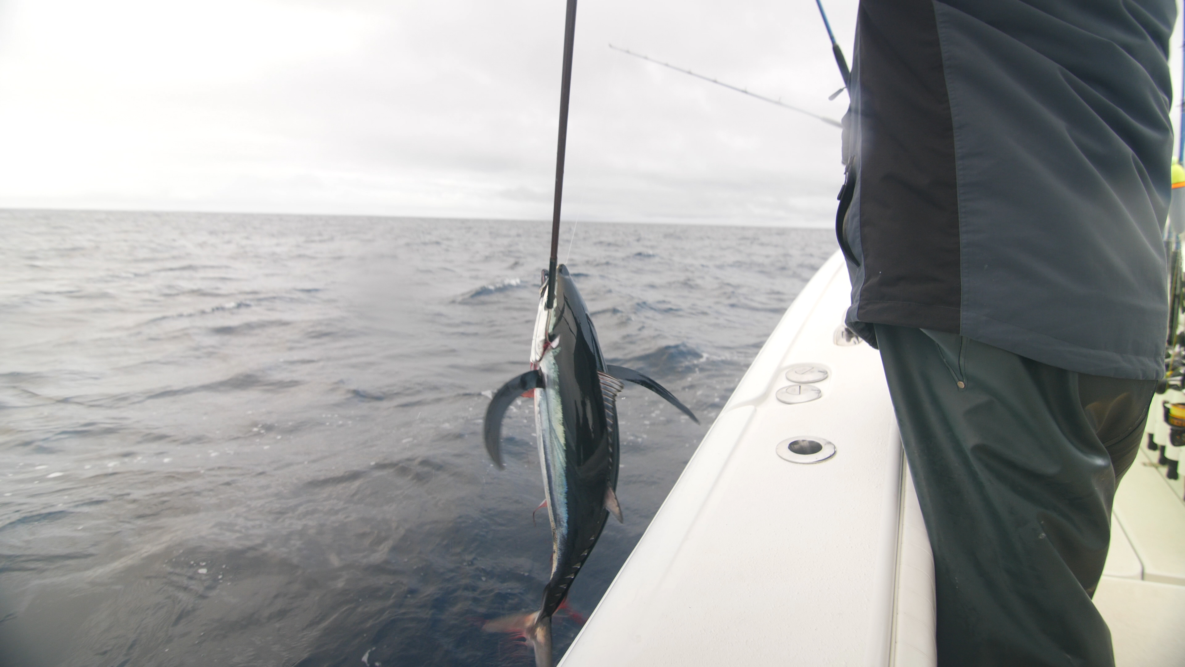 Catching tuna on a boat on the ocean