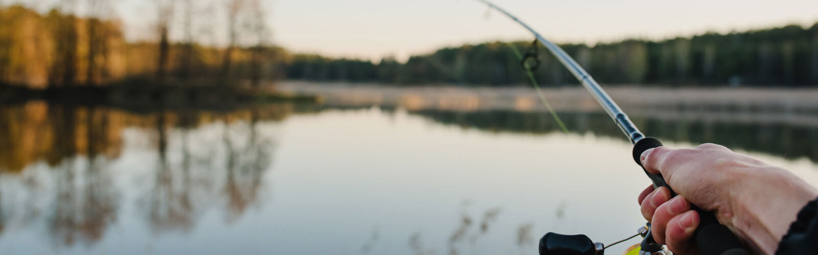 Person holding a fishing rod over a calm lake with trees reflected in the water during sunset.
