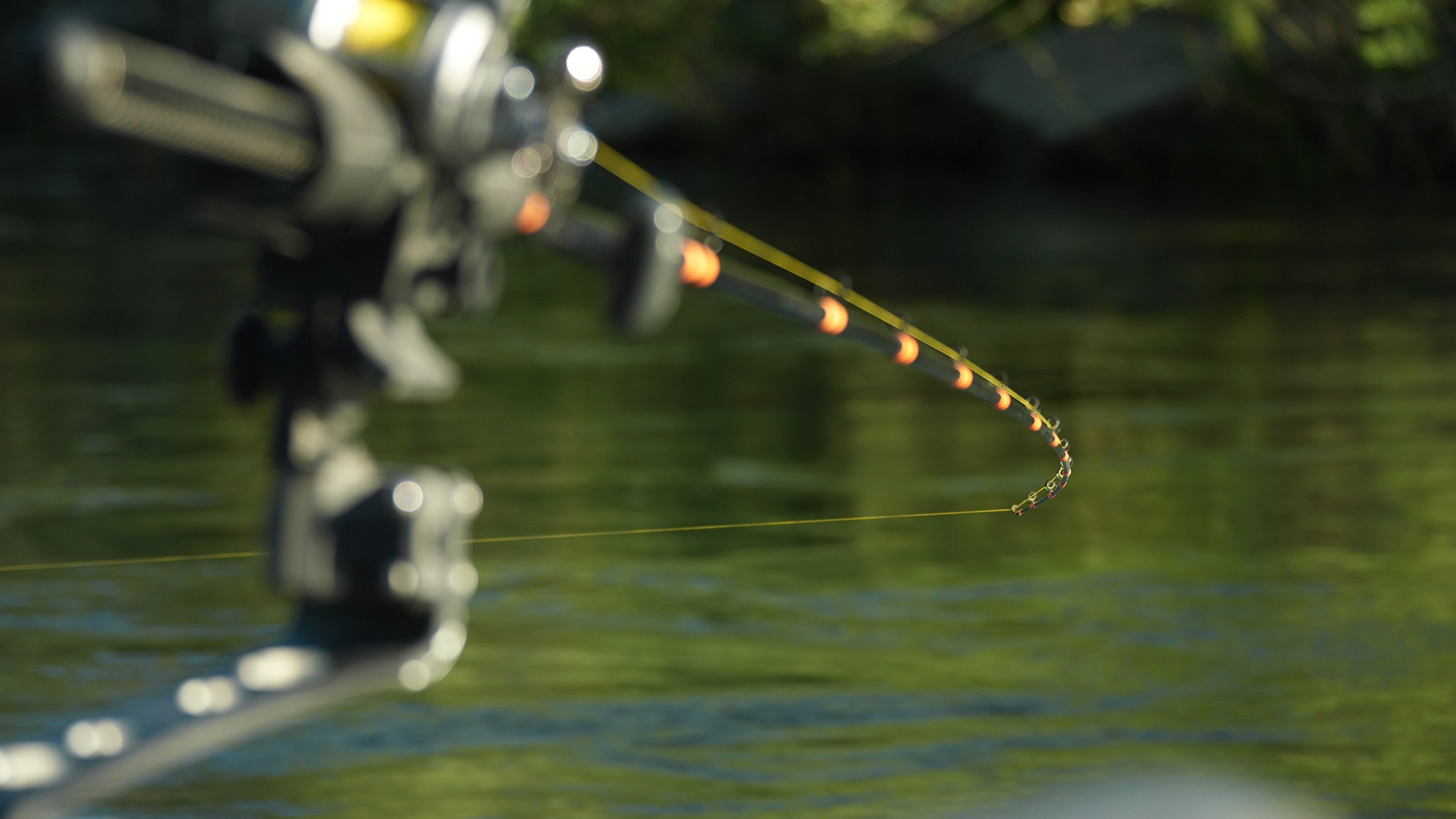 Spring Set Up Trolling Spring Salmon Trolling - Fish-Field