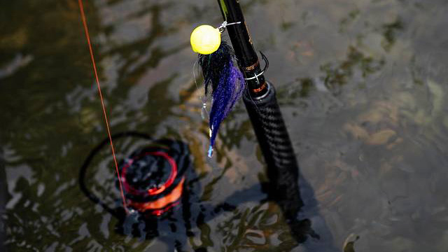 best daiwa electric reel Daiwa Tanacom Series Electric Saltwater Reels